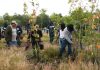 Agua de Puebla inicia campaña de reforestación “Arbolitros”