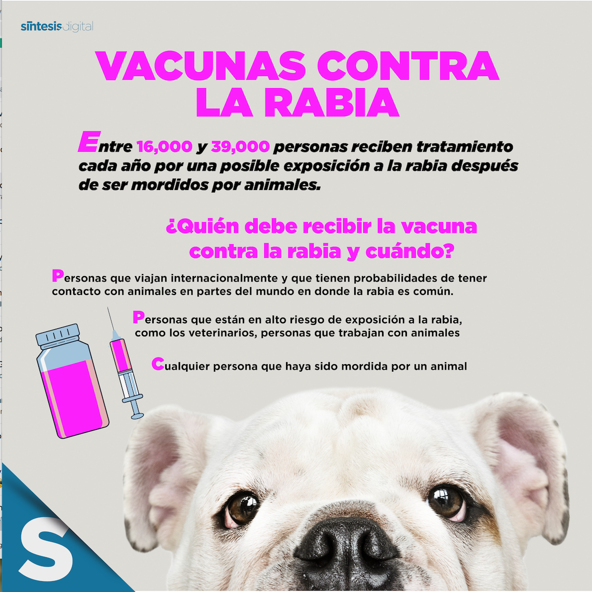 se puede vacunar a un perro contra la rabia antes de tiempo