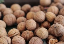 Inicia temporada del chile en nogada en Tlaxcala