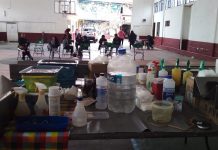 Realizó ayuntamiento de Panotla y SESA campaña de esterilización