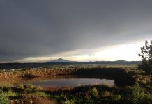 Abren consulta para proteger a defensores ambientales