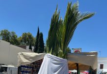 Todo listo para el Domingo de Ramos en Tlaxcala