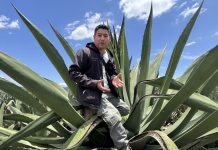 El arte del pulque: tradición y símbolo de identidad tlaxcalteca