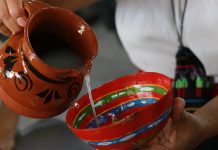 Se busca fortalecer la reputación cultural y económica de la entidad mediante el Pulque