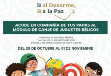 Invitan a participar en la campaña “Sí al desarme, sí a la paz”