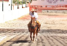 La charrería mexicana: tradición, destreza y orgullo nacional