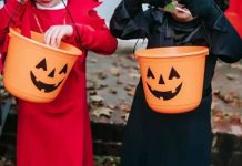 ¿No coopera para mí Calaverita? El arte de una tradición que se mantiene viva