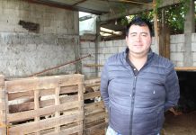 Aceden tlaxcaltecas a créditos para fortalecer sus negocios