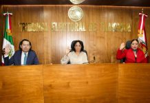 Existió violencia política contra regidurías de Yauhquemehcan: TET