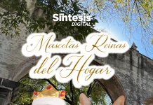 Mascotas, Reinas del Hogar