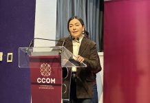 Tlaxcala implementa GEPEA para seguimiento en embarazos adolescentes