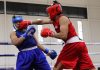 Tlaxcala suma cinco campeones regionales de boxeo y avanza a la Olimpiada Nacional