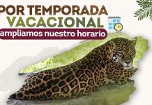 Zoológico de Tlaxcala amplía horario en vacaciones