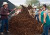 Impulsa Sembrando Vida producción de fertilizantes con biofábricas