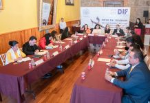 Realizan Quinta Mesa de Trabajo TSJE y SEDIF para fortalecer criterios de Protección de NNA en Tlaxco
