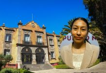 «Conecta Cultura» impulsará el talento artístico con catálogo digital permanente