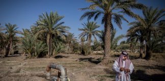 Irak dice que sequía afecta a más de siete millones y culpa a países vecinos