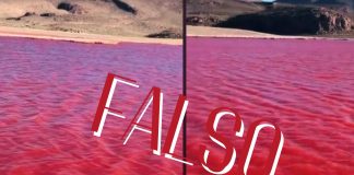 Video del río Nilo pintado de rojo es ¡FALSO!, se trata de una laguna en Chile