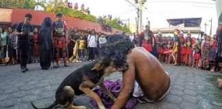 Perrito irrumpe dramatización de viacrucis para consolar a “Jesús”
