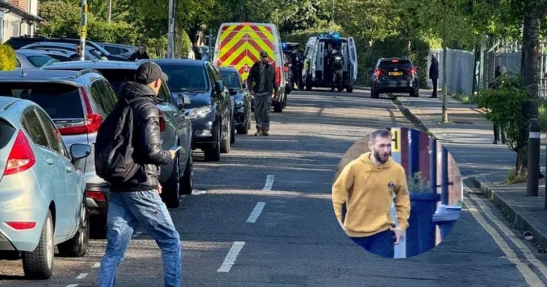 Diseño sin título (15)