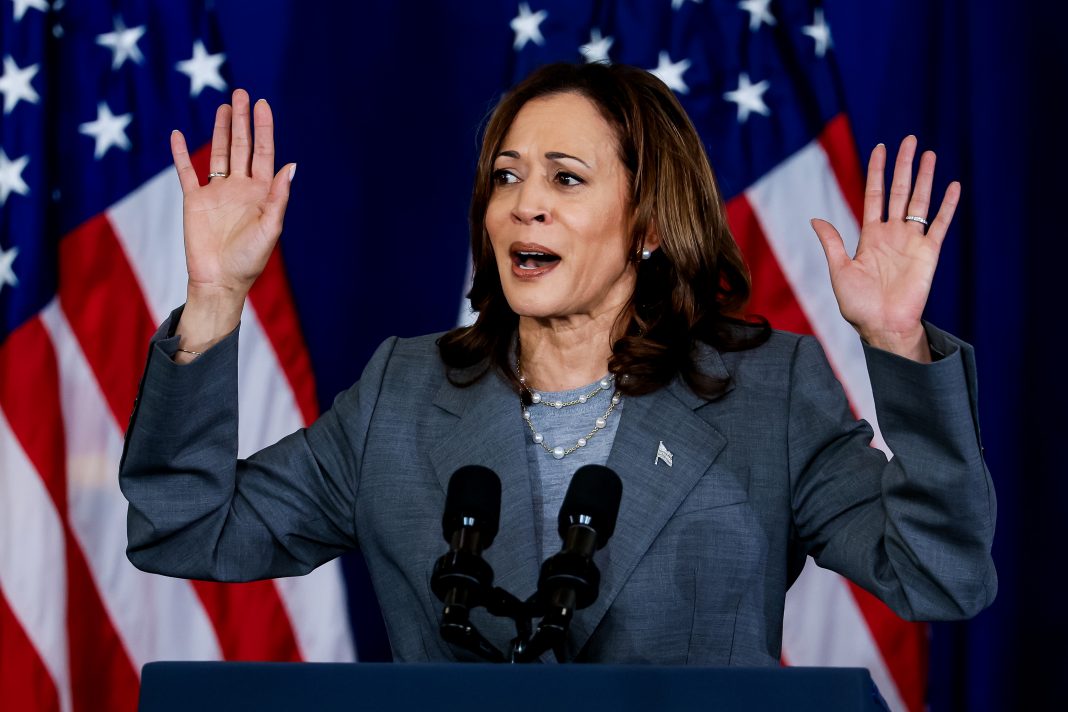 Kamala Harris logra el apoyo de más de medio millar de delegados en menos de 24 horas Kamala Harris logra el apoyo de más de medio millar de delegados en menos de 24 horas