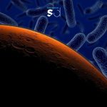 ¿Vida en Marte? NASA detecta posibles microbios