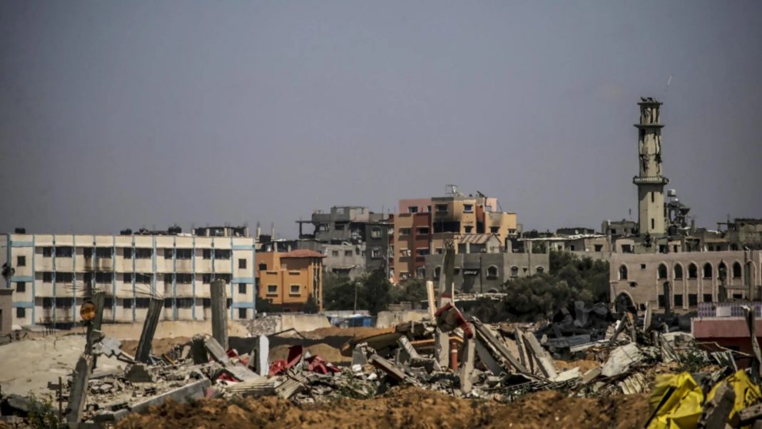 WhatsApp Image 2024-08-04 at 1.31.44 PM