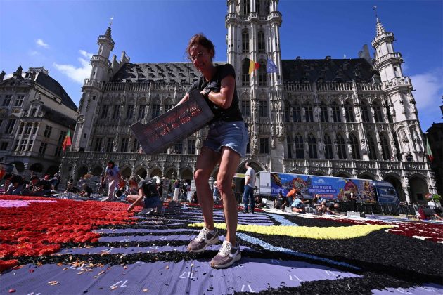 alfombra gigante de flores en la Grand-Place de Bruselas