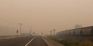 Calidad del aire en Europa empeora por incendios forestales en Canadá Calidad del aire en Europa empeora por incendios forestales en Canadá