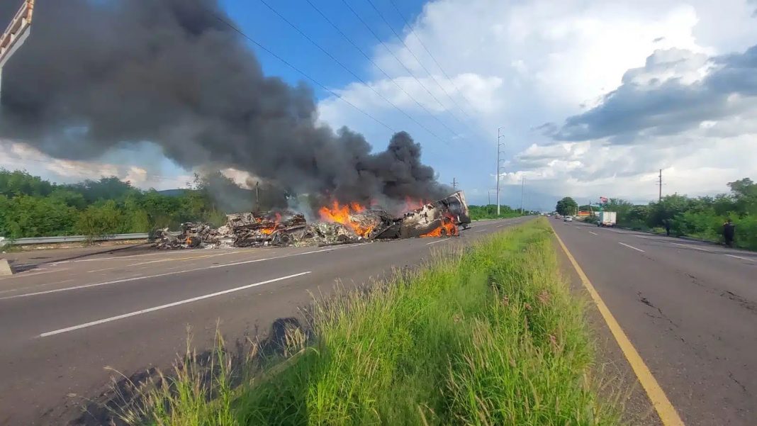 WhatsApp Image 2024-08-30 at 11.42.32 AM (1)