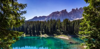 Entra en vigor la primera ley europea que obliga a restaurar la naturaleza