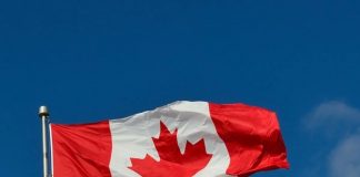 Canadá deja de otorgar permisos de trabajo a los visitantes extranjeros Canadá deja de otorgar permisos de trabajo a los visitantes extranjeros