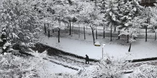 Invierno extremo: Nevadas históricas paralizan la capital surcoreana Invierno extremo: Nevadas históricas paralizan la capital surcoreana