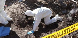 Localizan "campo de exterminio" del crimen organizado en San Luis Potosí