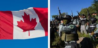 Canadá declara como terroristas a cárteles mexicanos Canadá declara como terroristas a cárteles mexicanos