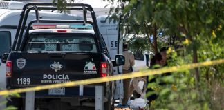 Reducen los homicidios en México bajo la presidencia de Sheinbaum Reducen los homicidios en México bajo la presidencia de Sheinbaum
