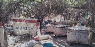 Desmantelan Laboratorios Clandestinos y Plantío de Marihuana en Sinaloa Desmantelan Laboratorios Clandestinos y Plantío de Marihuana en Sinaloa