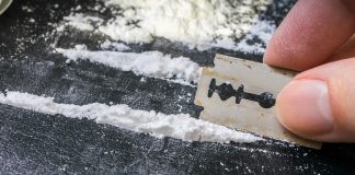 Detienen a cinco personas y aseguran mil 800 kg de cocaína en Guerrero Detienen a cinco personas y aseguran mil 800 kg de cocaína en Guerrero