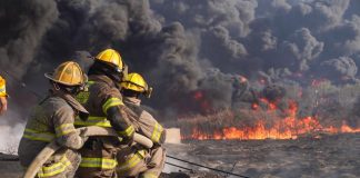 Más de 200 incendios en Nuevo León: 10 detenidos por provocarlos