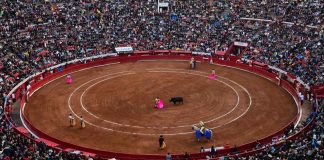 Aprobación de corridas de toros sin violencia en CDMX Aprobación de corridas de toros sin violencia en CDMX