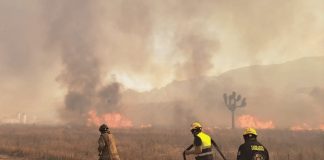 Incendios en Santa Catarina: Evacuación por fuertes vientos