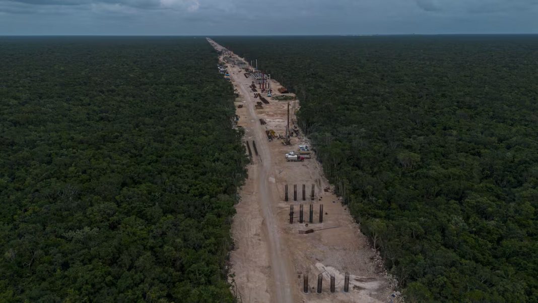 Tren Maya Gobierno de México reconoce daños ecológicos del Tren Maya
