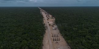 Gobierno de México reconoce daños ecológicos por el Tren Maya Gobierno de México reconoce daños ecológicos del Tren Maya