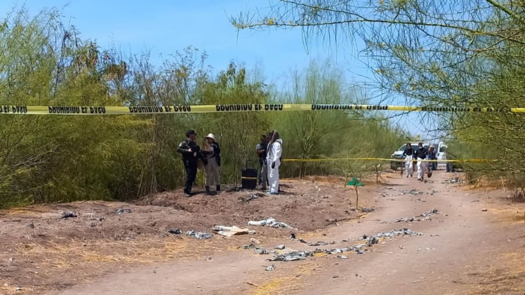 Localizan siete fosas con restos humanos en Culiacán