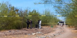 Localizan siete fosas con restos humanos en Culiacán