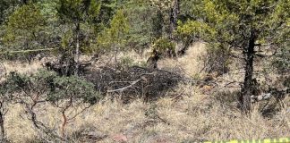 Madres hallan fosas en Reynosa ante omisión del Estado