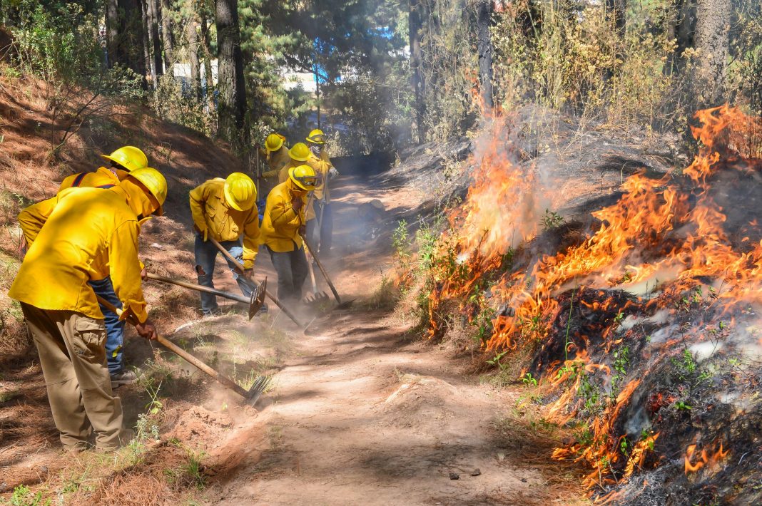 incendios México enfrenta una intensa temporada de incendios forestales