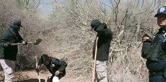 Madres Buscadoras de Sonora hallan cuatro fosas clandestinas en Hermosillo
