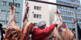 Baja 2% exportación de carne a EE.UU. por gusano barrenador