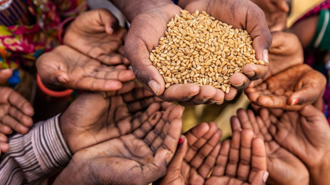 África enfrenta su peor crisis alimentaria en años